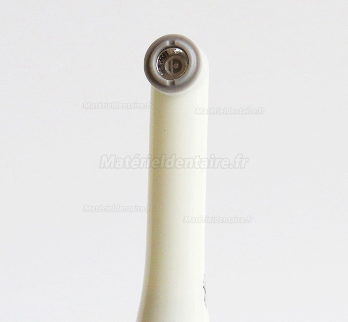 Woodpecker DTE LUX I Dentaire Lampe LED à polymériser sans fil FDA / CE