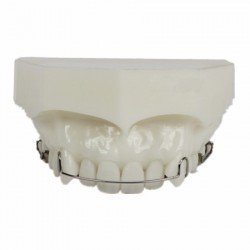 Modèle Orthodontie Maintenance de traitement M3007