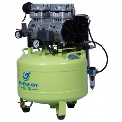 Greeloy® GA-81Y Compresseur sans huile avec dessicateur 40L 800W