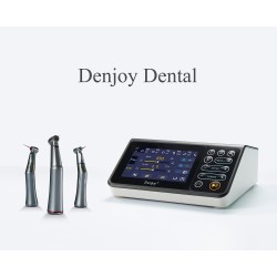 Moteur d'endodontie électrique à basse tension dentaire Denjoy DY-EM01