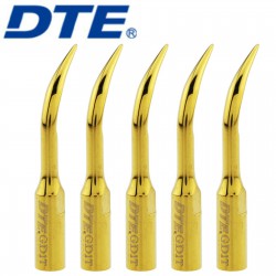 5 Pièces Woodpecker DTE GD1T Dentaire Insert de détartreur ultrasonique à échell...