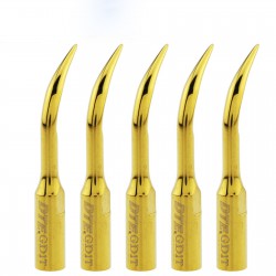 5 Pièces Woodpecker DTE GD1T Dentaire Insert de détartreur ultrasonique à échelle supragingivale compatible avec NSK Satelec