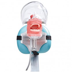 Jingle C6-3 modèle de pratique de chirurgie dentaire simulation dentaire compatible Nissin Kilgore