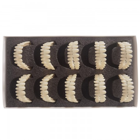 Prothèses dentaires en résine CAIYU (flexibles, bilatérales et symétriques) A1/A2/A3/A3.5/A4