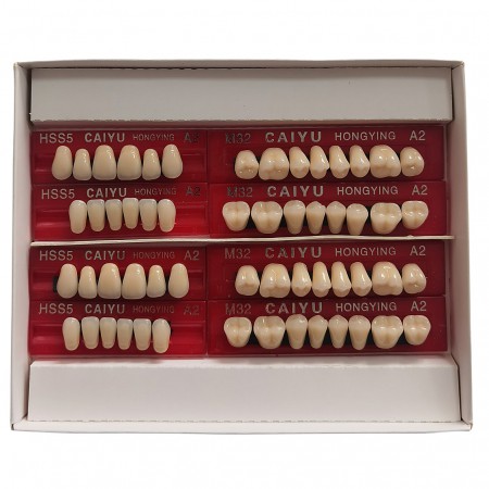 Prothèses dentaires en résine Caiyu Hongying (trois couches de couleur) A1/A2/A3/A3.5/A4