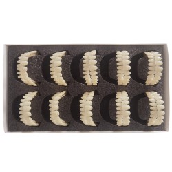 Prothèses dentaires en résine CAIYU (flexibles, bilatérales et symétriques) A1/A...