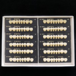 Prothèse dentaire en résine polymère synthétique acrylique Caiyu Heiying (Upper/Lower Back Teeth)