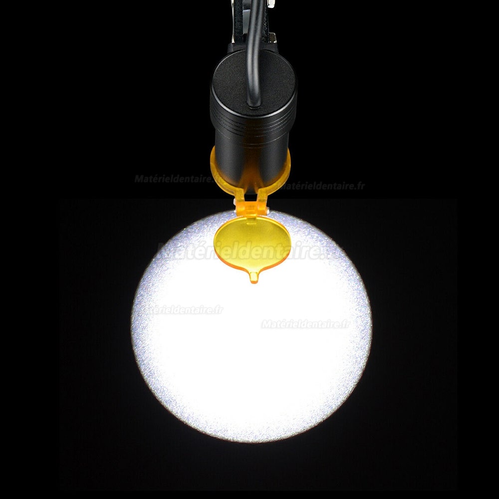 Loupes Binoculaires Dentaires 3.5X + Lampe Frontale LED 5W avec Filtre + Boîtier en Aluminium