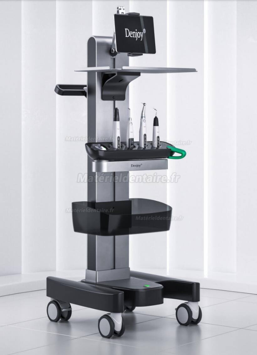 Denjoy MeteEndo Système intégré endo dentaire (avec Meta Fill/Meta Pex/Meta Motor/Meta Pulp/Meta Pack) Denjoy MeteEndo Système intégré endo dentaire (avec Meta Fill/Meta Pex/Meta Motor/Meta Pulp/Meta Pack)