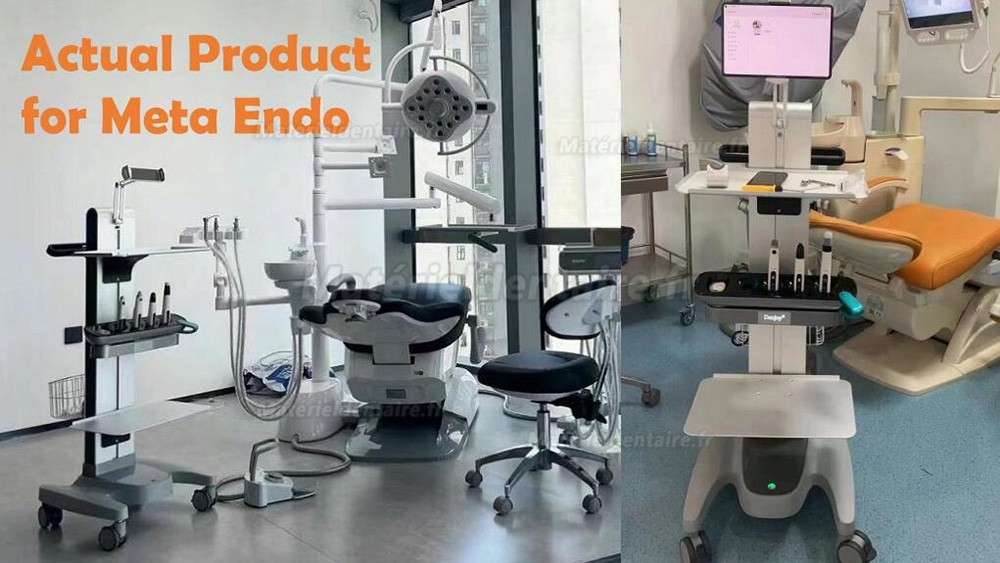 Denjoy MeteEndo Système intégré endo dentaire (avec Meta Fill/Meta Pex/Meta Motor/Meta Pulp/Meta Pack) Denjoy MeteEndo Système intégré endo dentaire (avec Meta Fill/Meta Pex/Meta Motor/Meta Pulp/Meta Pack)
