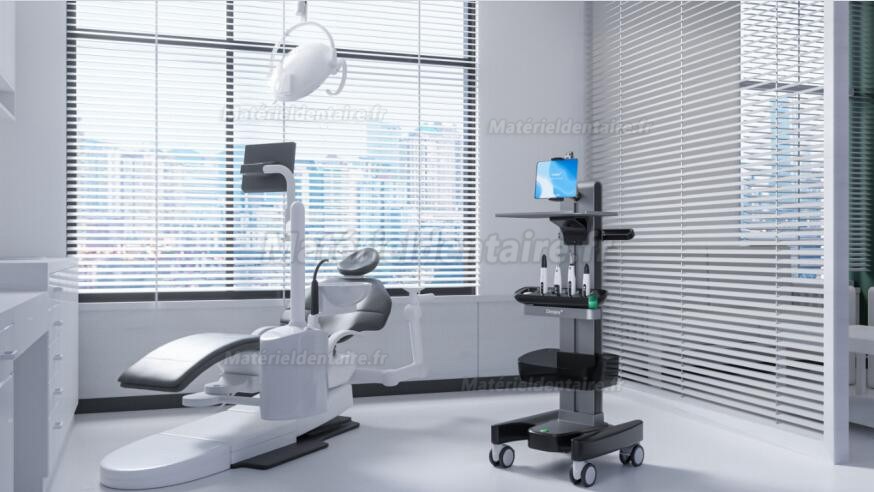 Denjoy MeteEndo Système intégré endo dentaire (avec Meta Fill/Meta Pex/Meta Motor/Meta Pulp/Meta Pack) Denjoy MeteEndo Système intégré endo dentaire (avec Meta Fill/Meta Pex/Meta Motor/Meta Pulp/Meta Pack)