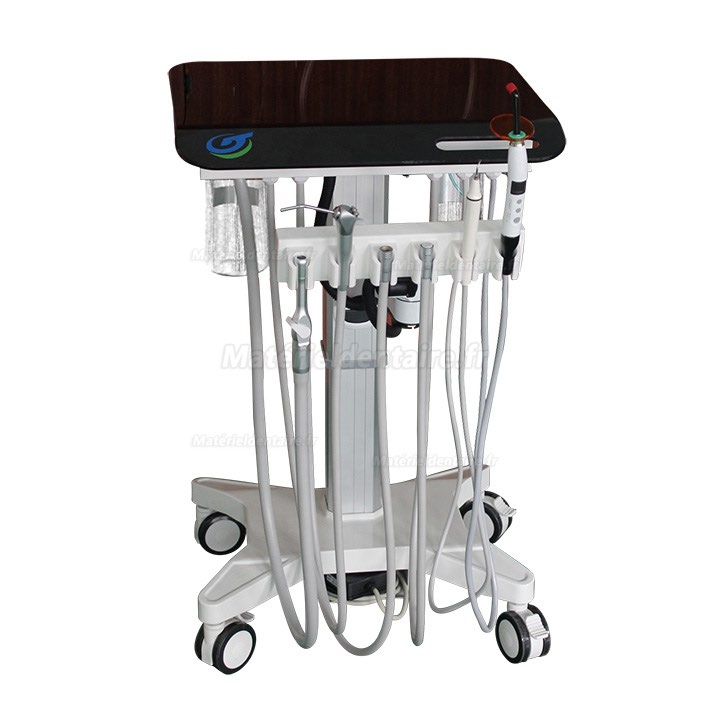 Greeloy GU-P 302S Latest Réglable Porte-Instrument Pour Unité Dentaire Mobile /6 Instruments