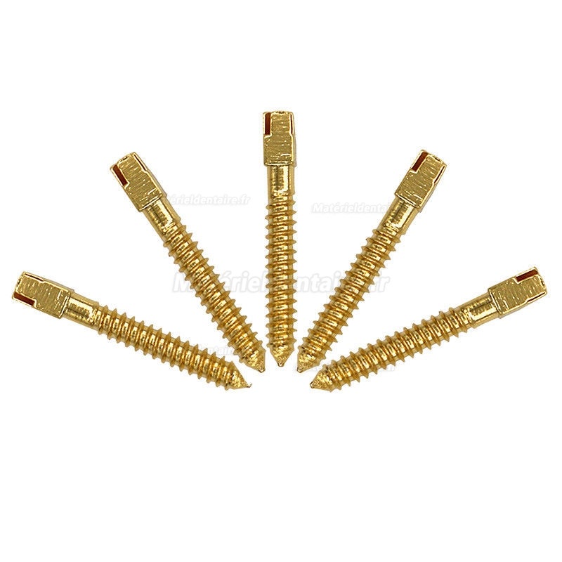 120Pcs Dentaire plaqué or 24K tige de vis broches tige filetée L1 # -L6 # VENTE