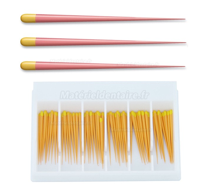 5Paquet/300Pcs Pointes F1 de Gutta Percha Points Dentaire pour Dentsply Maillefer Protaper