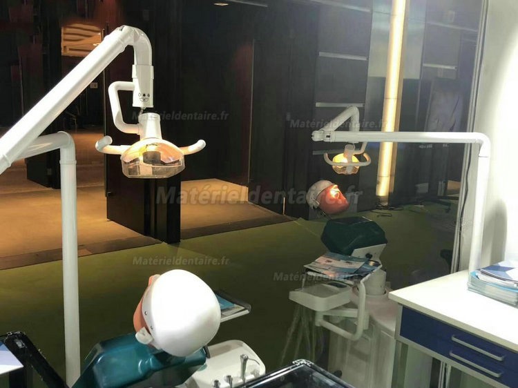 Tête fantôme pour unité de simulation dentaire d'étudiants dentaires Jingle JG-A1