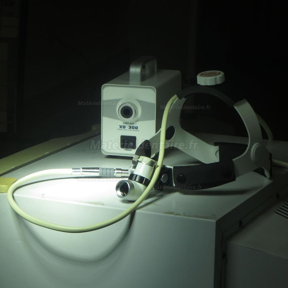 KWS 50W Source de Lumière Froide de Type Xénon + Phare Médical à Haute Luminosité(KD-203AY-5)