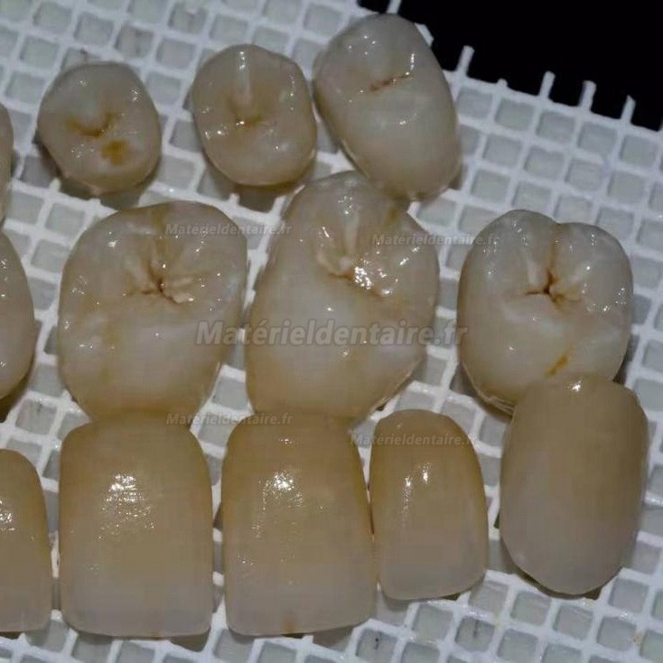 Kingch® 3D ProMax 98/95mm disques zircone laboratoire dentaire