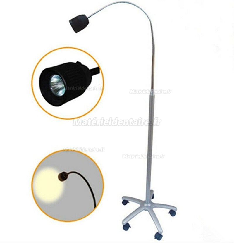 Micare JD1500 35W Lampe de vérification debout médicale dentaire Lampe d'examen halogène