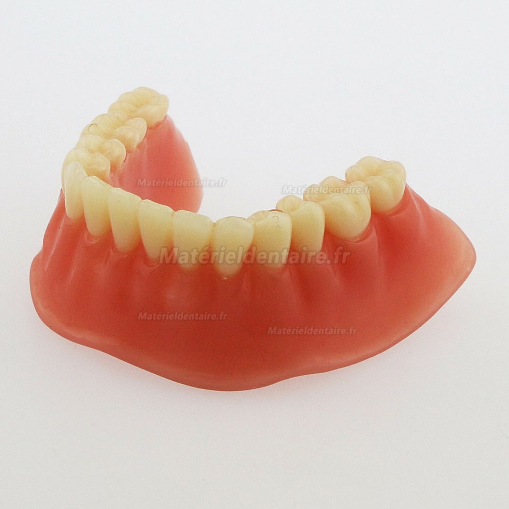 Dentaire inférieur Modèle de dents Overdenture Précision 4 implants Manifestation Bar d'Argent