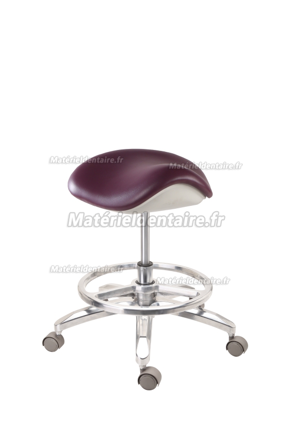 QY fauteuil de Selle(luxueux)