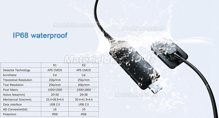 Capteurs intra-oraux numériques portables USB à capteur RVG dentaire Refine R1/R2