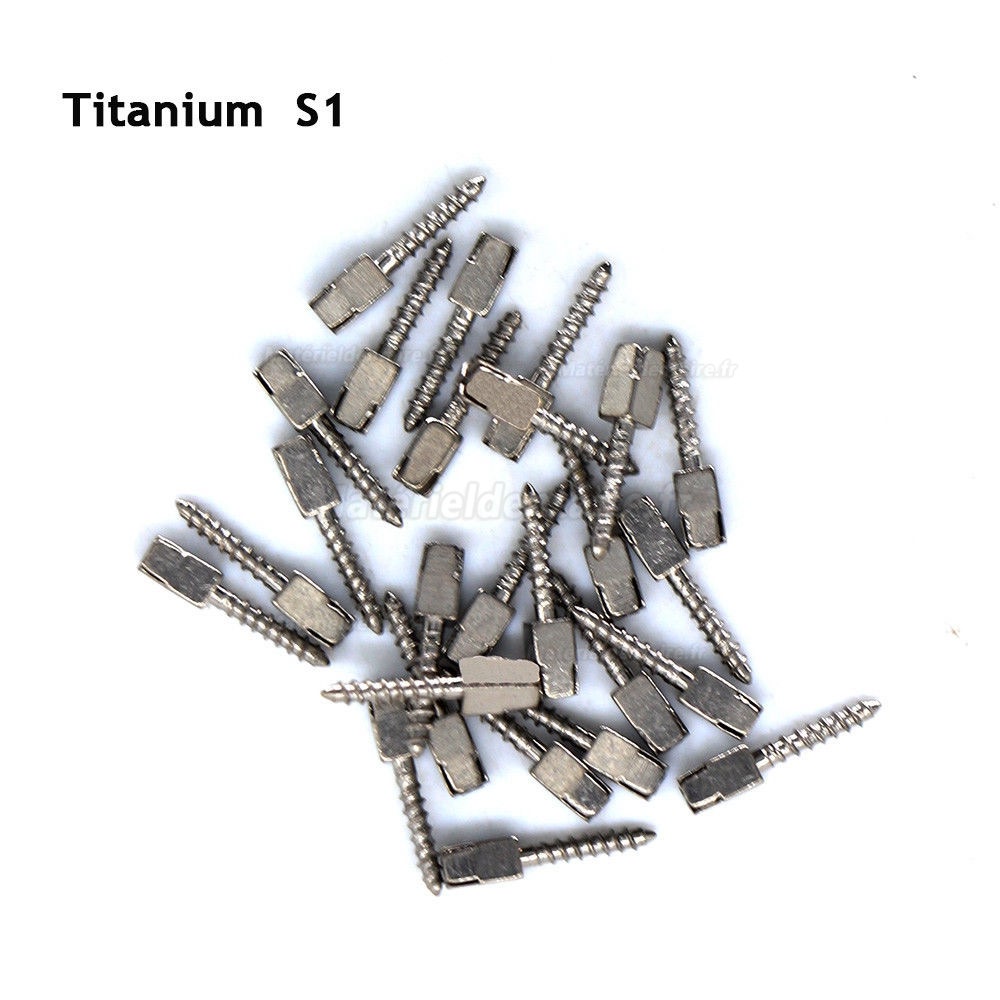 30pcs/sac Matériel d'endodontie dentaire TITANIUM pur tige de vis Toutes les tailles