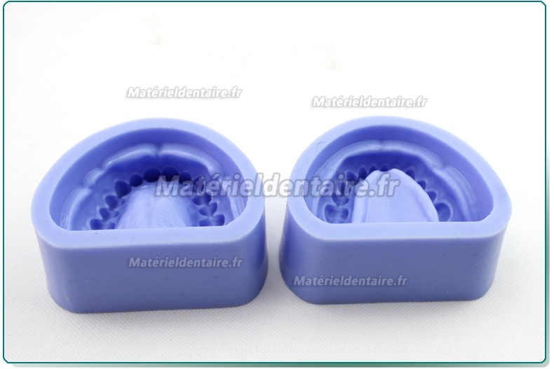ENOVO Modèle en silicone pour préparation dentaire bloc à cavité