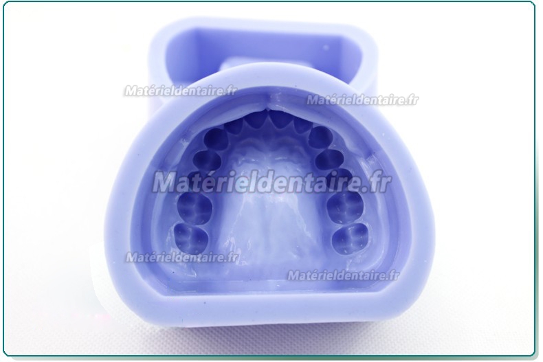 ENOVO Modèle en silicone pour préparation dentaire bloc à cavité