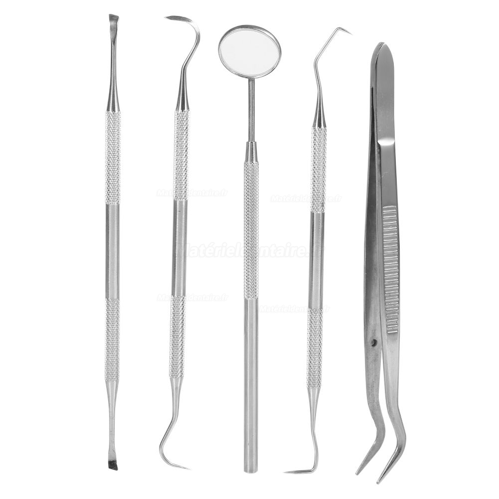 5pcs / set hygiène Soins dentaires dents Oral Bouche Scaler Miroir faucille Outils à main 5pcs / set hygiène Soins dentaires dents Oral Bouche Scaler Miroir faucille Outils à main