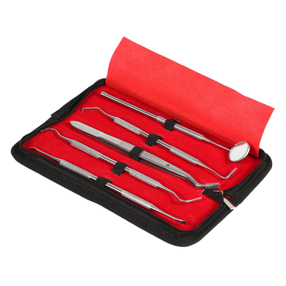 5pcs / set hygiène Soins dentaires dents Oral Bouche Scaler Miroir faucille Outils à main 5pcs / set hygiène Soins dentaires dents Oral Bouche Scaler Miroir faucille Outils à main