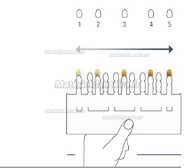 VITA Toothguide 3D-MASTER® Relevé de teinte Toothguide