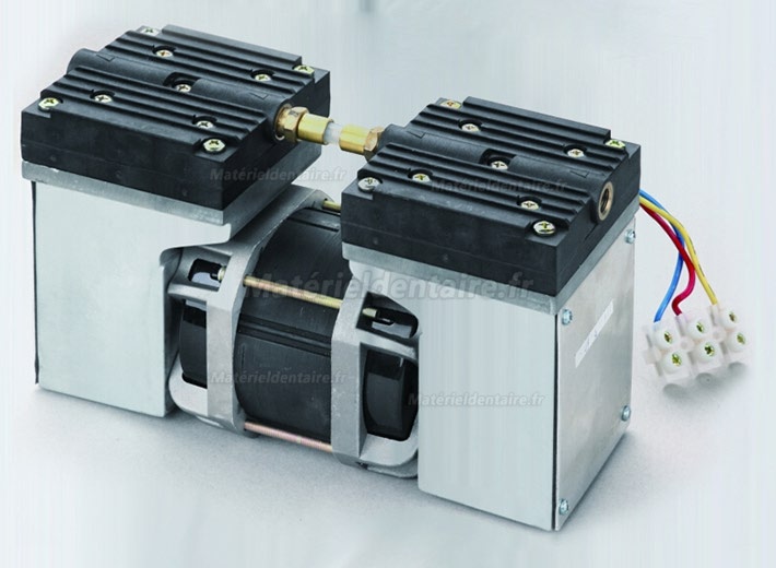 WOSON® HD-D-R 7-10L Stérilisateur Autoclave Class N