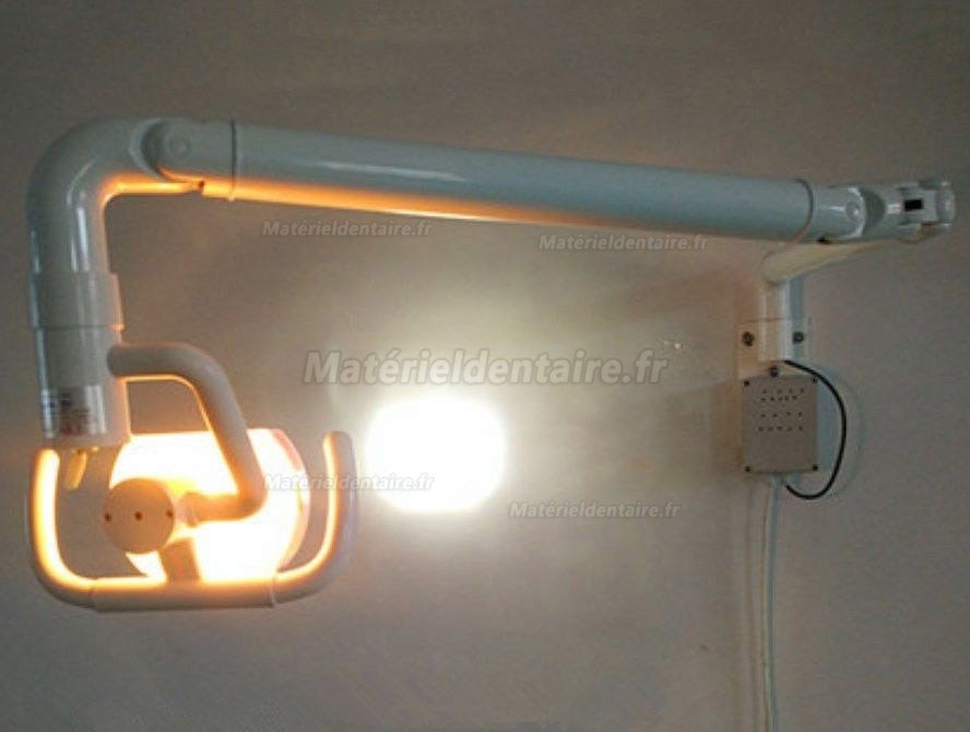 50W Mural Dentaire Lumière Lampe orale shadowless Led avec bras Lumière froide