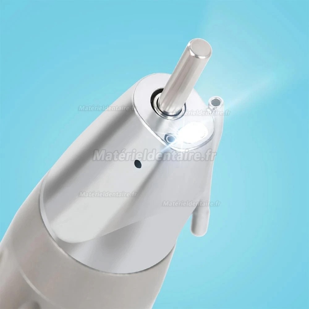 Pièces à main dentaire droite à fibre optique dentaire Westcode (type E, eau externe)