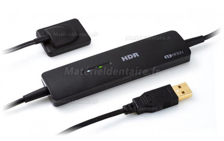 High Resolution Digital USB Type Dental X Ray Sensor Rvg