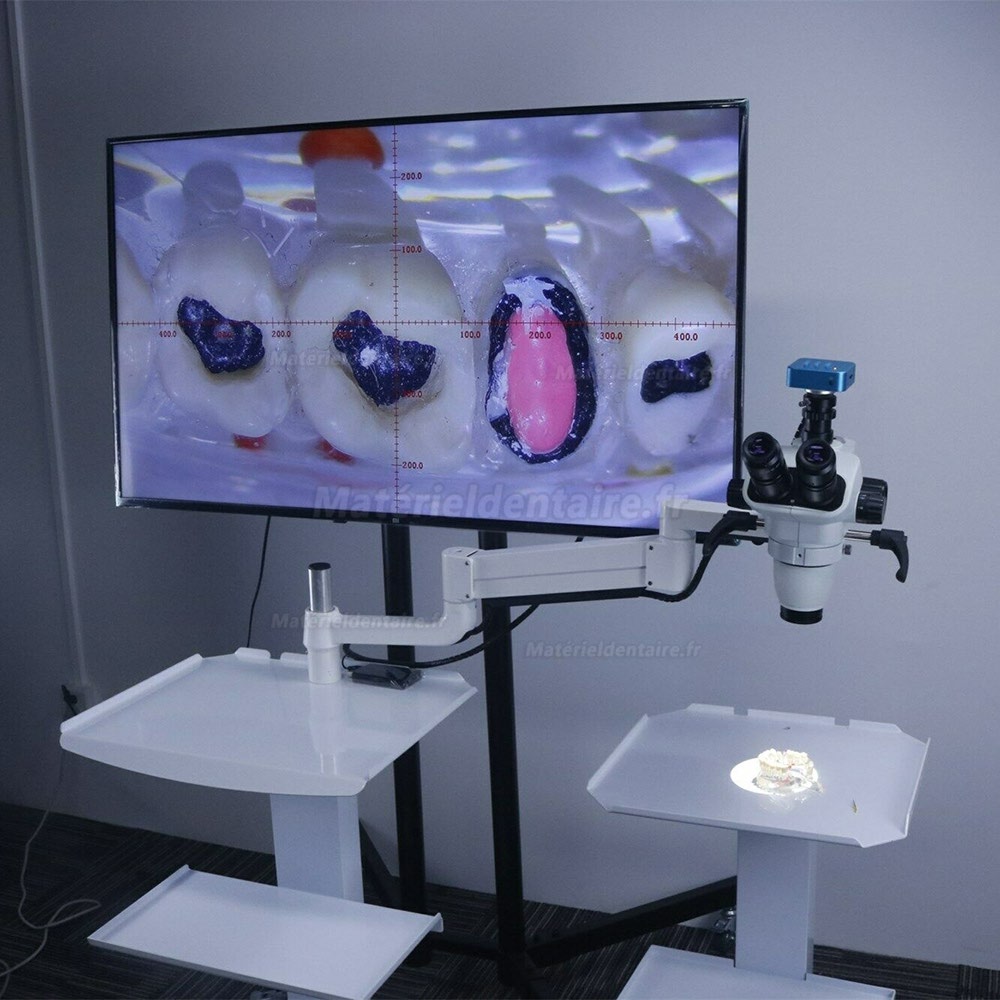Dentaire de microscope opératoire de thérapie de canal radiculaire avec caméra
